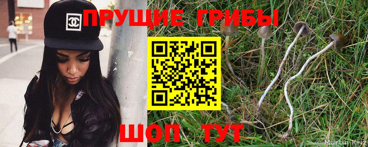 Псилоцибиновые грибы Magic Shrooms Крымск