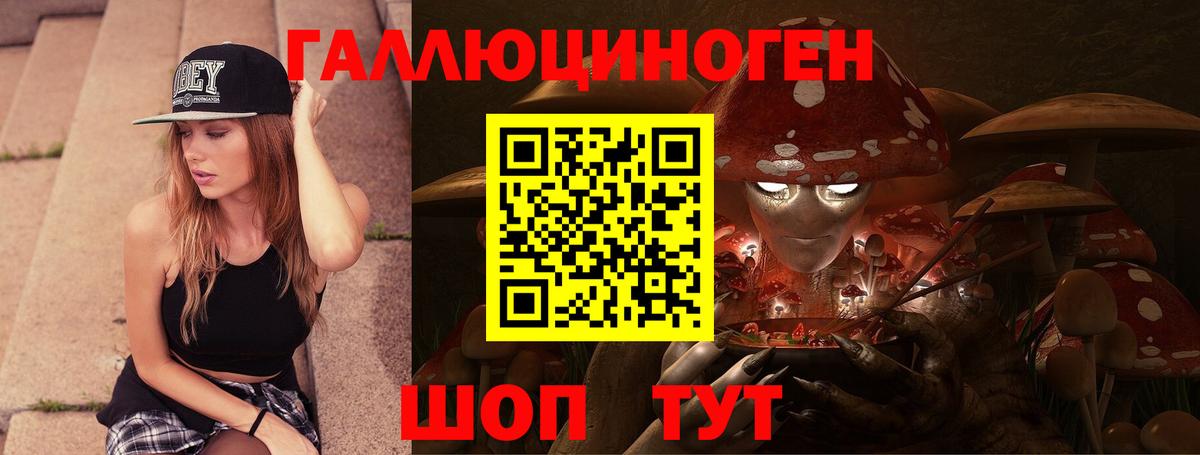 Галлюциногенные грибы Psilocybe  Галлюциногенные грибы GOLDEN TEACHER  Крымск  купить   Вход с VPN 
